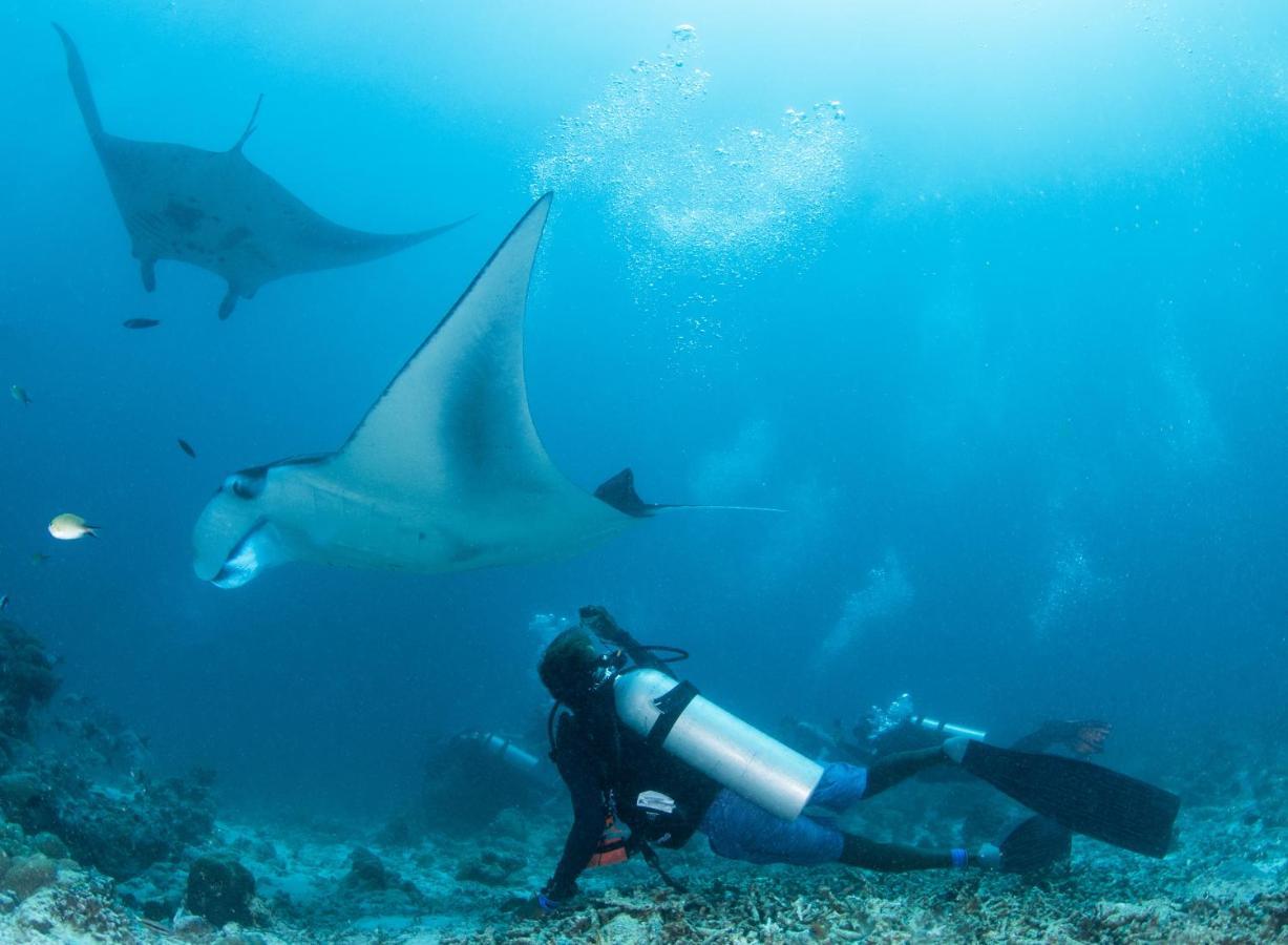 מלון דנגטי South Ari Dive Center מראה חיצוני תמונה