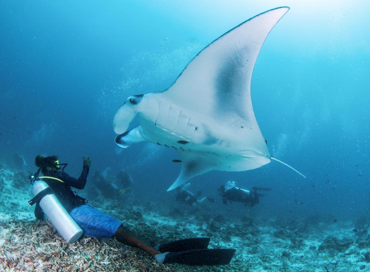 מלון דנגטי South Ari Dive Center מראה חיצוני תמונה