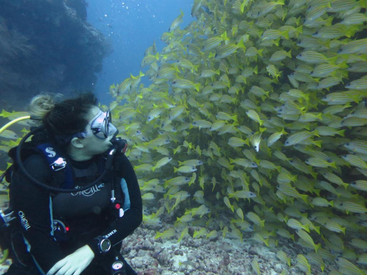 מלון דנגטי South Ari Dive Center מראה חיצוני תמונה