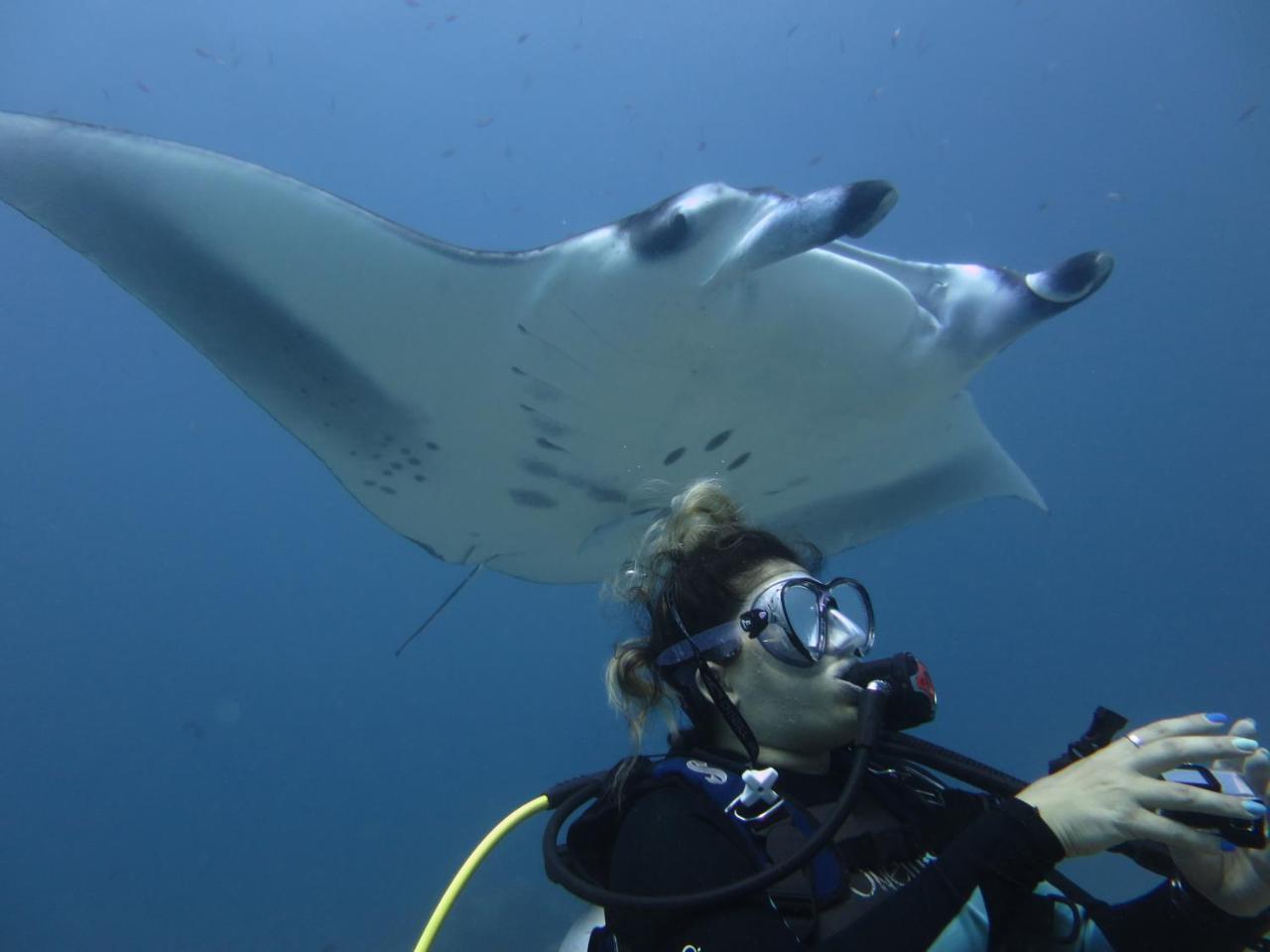 מלון דנגטי South Ari Dive Center מראה חיצוני תמונה