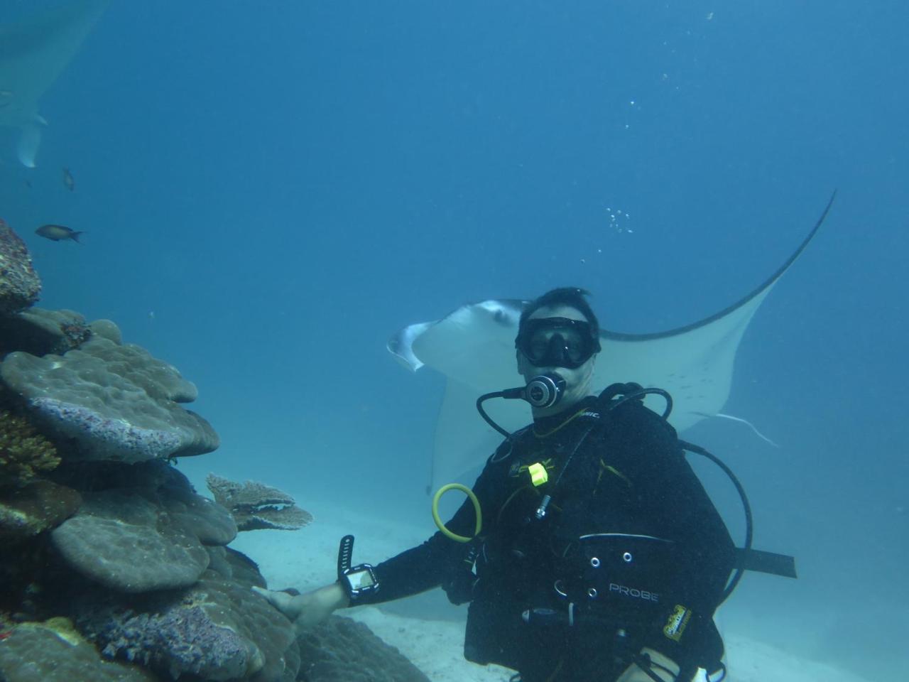 מלון דנגטי South Ari Dive Center מראה חיצוני תמונה