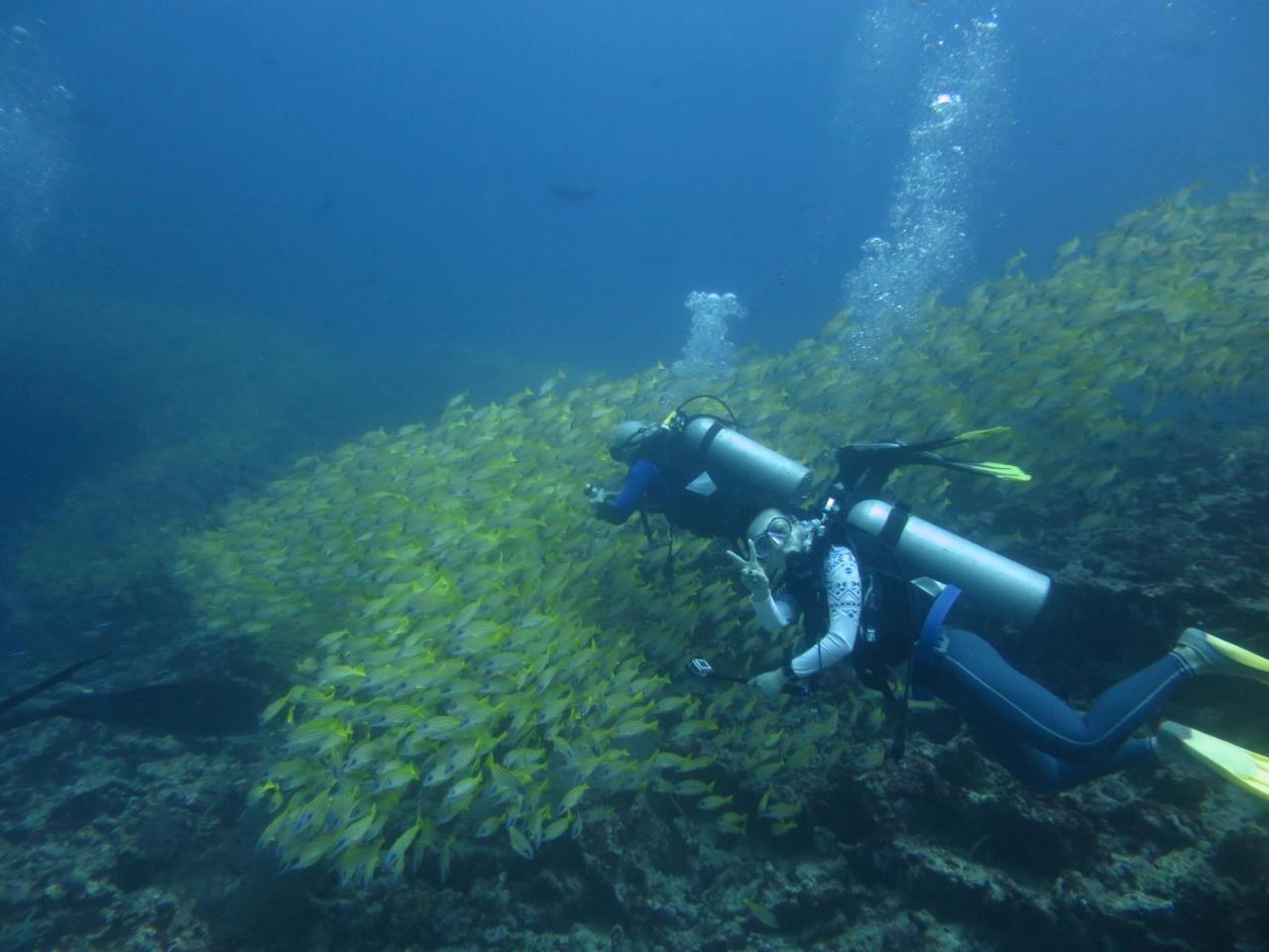 מלון דנגטי South Ari Dive Center מראה חיצוני תמונה