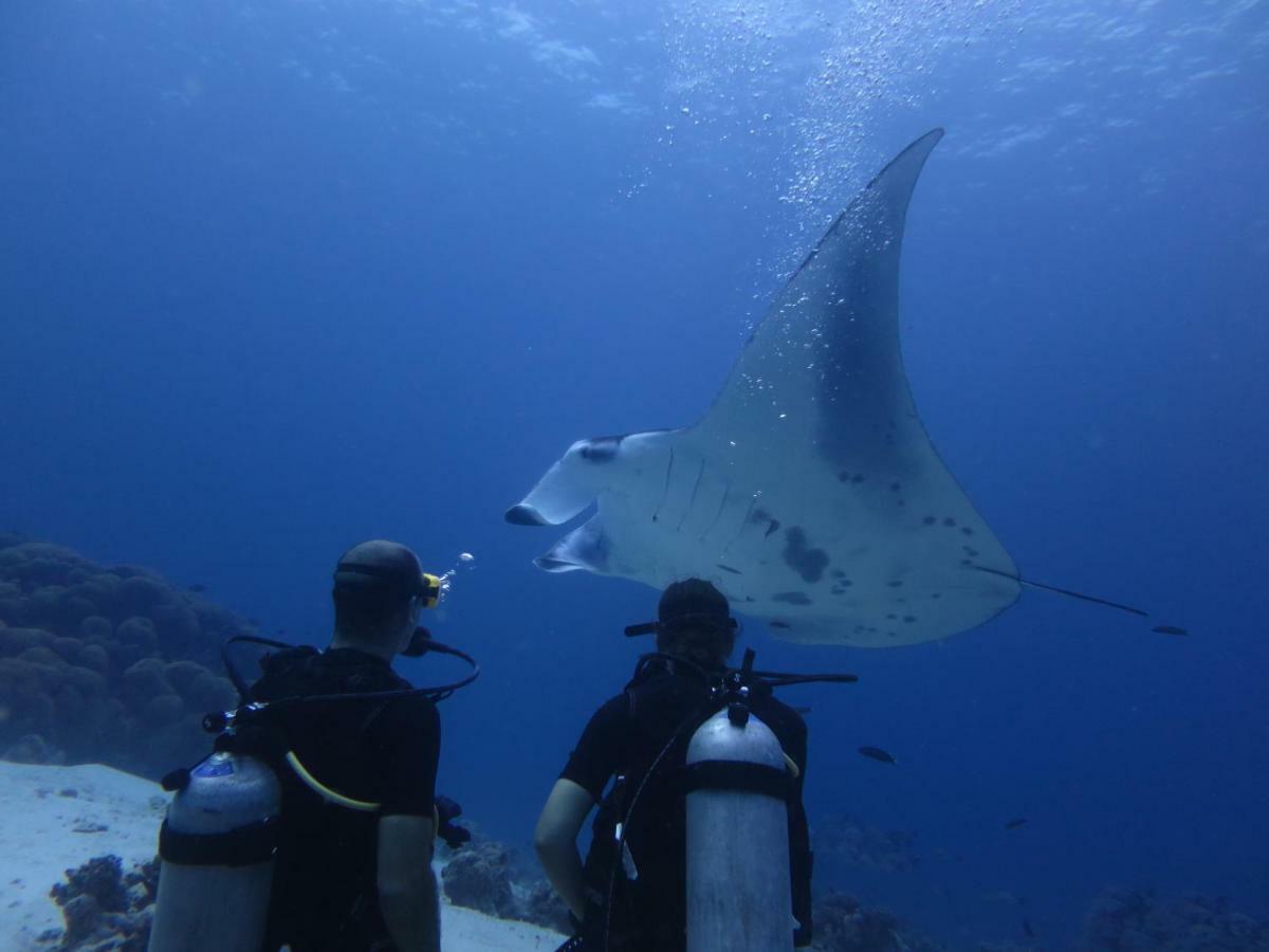 מלון דנגטי South Ari Dive Center מראה חיצוני תמונה