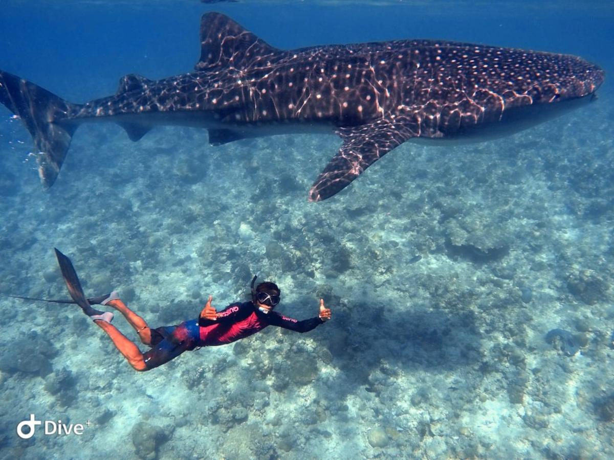 מלון דנגטי South Ari Dive Center מראה חיצוני תמונה